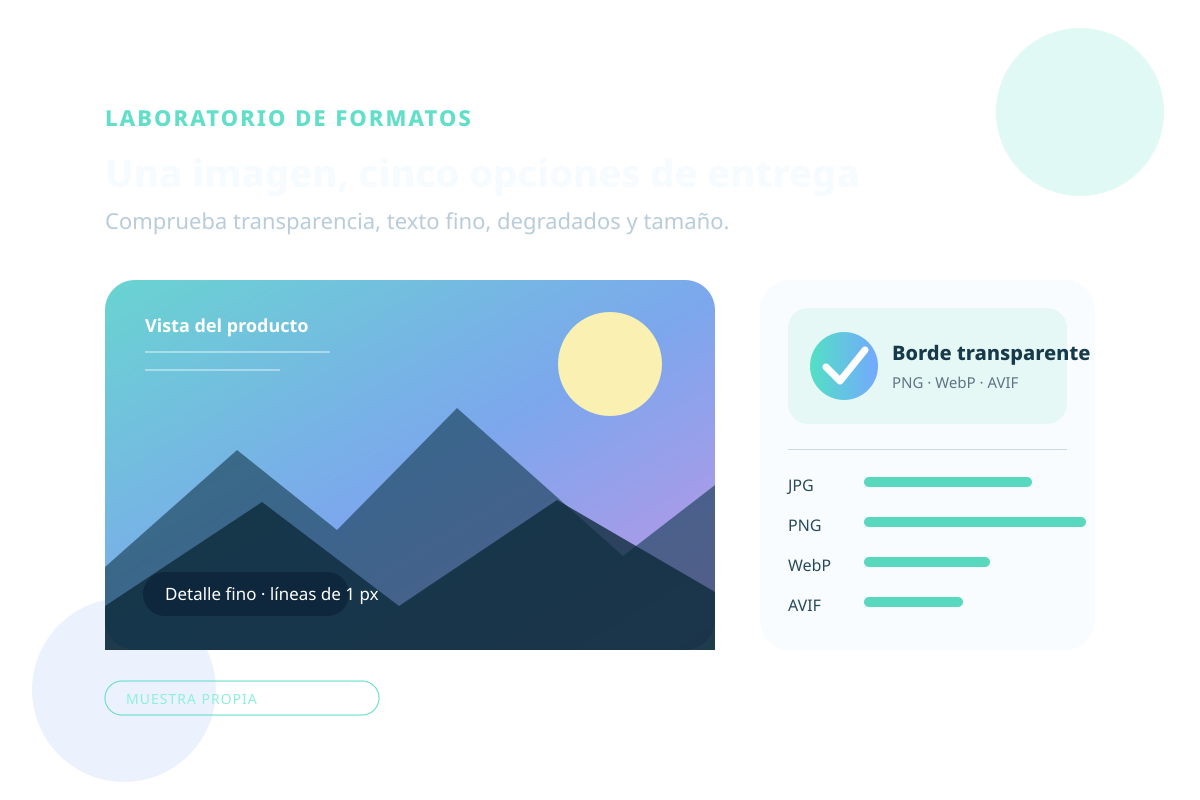 Gráfico español para probar formatos con exterior transparente, degradado, líneas finas y etiquetas