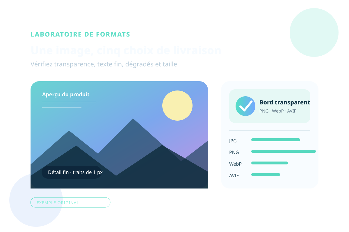 Visuel français de test des formats avec pourtour transparent, dégradé, traits fins et libellés