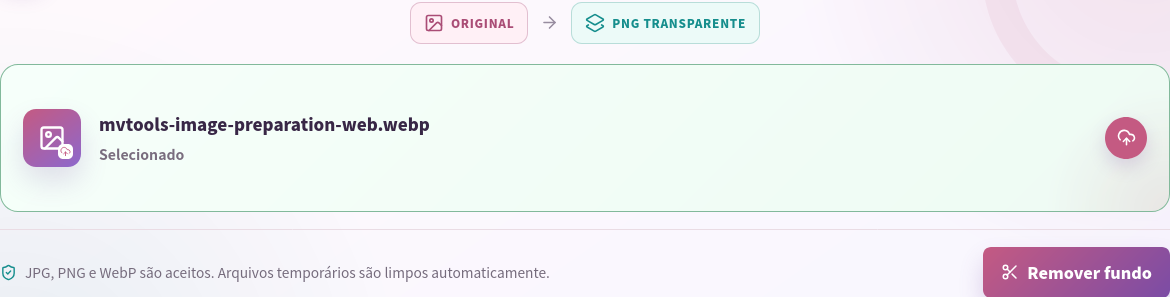 WebP redimensionado selecionado no Removedor de fundo.