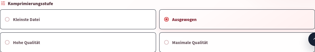Die vier tatsächlichen Profile: Kleinste Datei, Ausgewogen, Hohe Qualität und Maximale Qualität