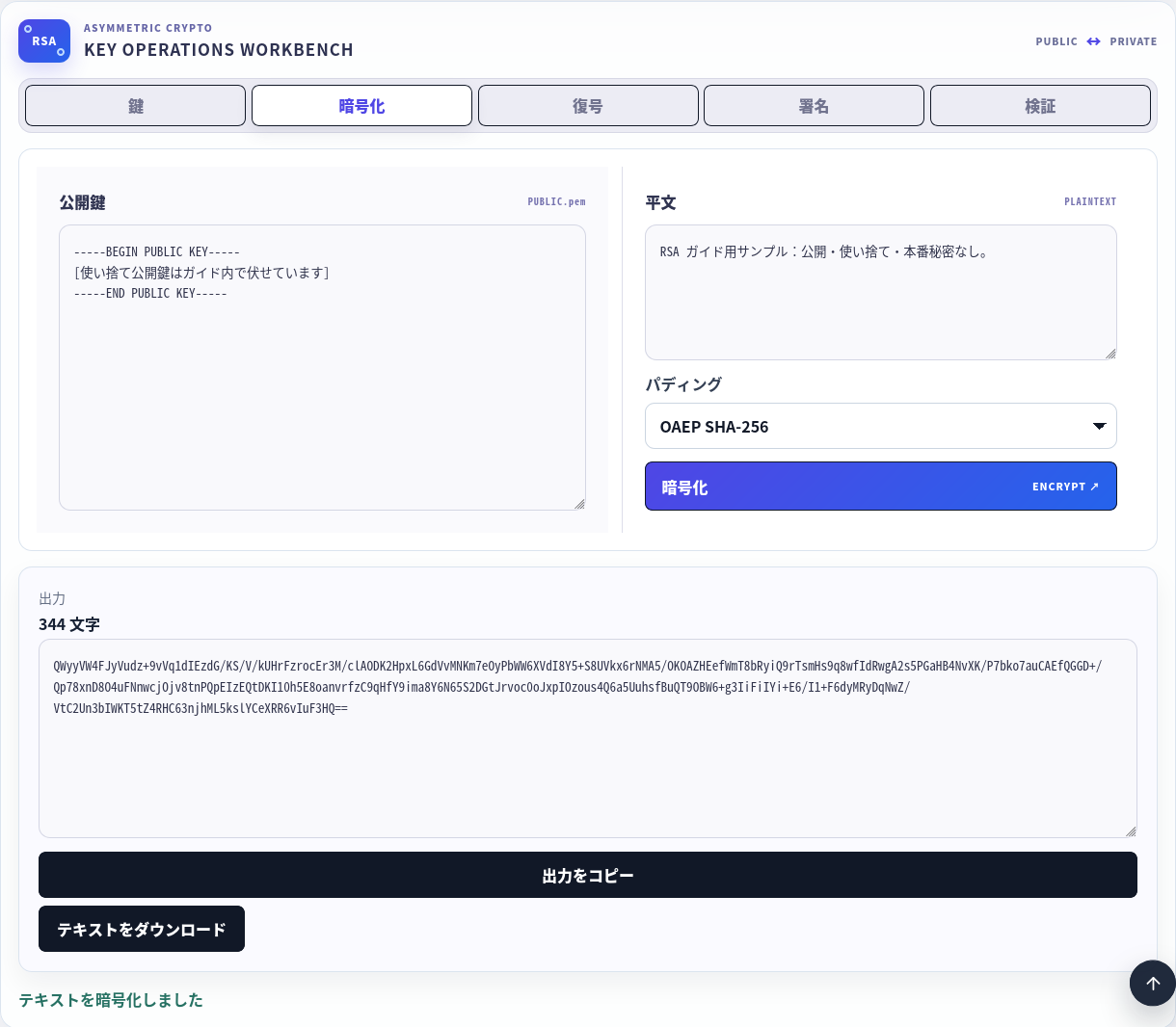 伏せた公開鍵と OAEP SHA-256 で暗号化した公開の使い捨てサンプル。