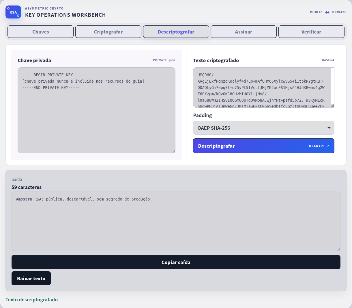 Resultado RSA real com campo de chave privada ocultado.