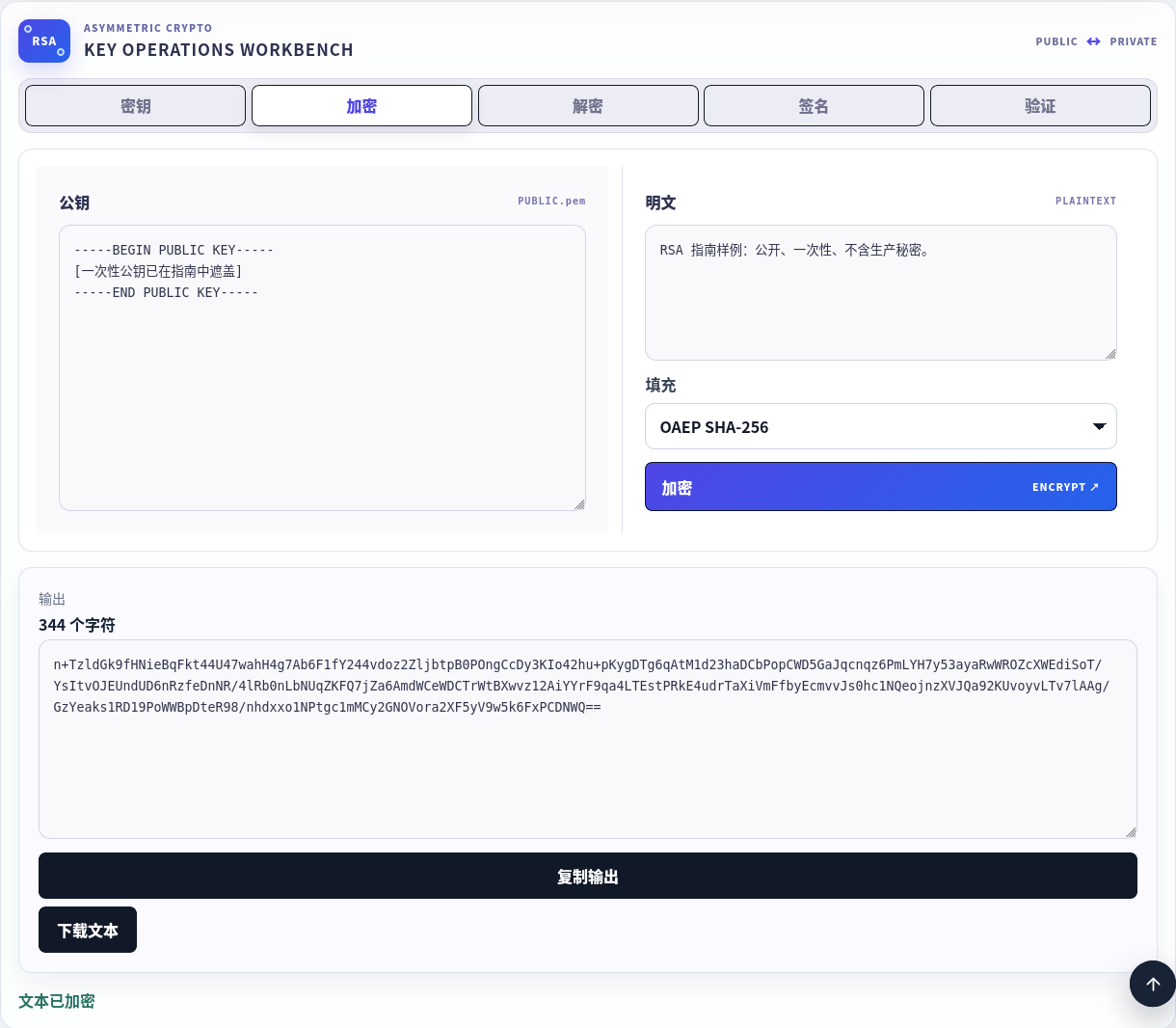 使用已遮盖公钥和 OAEP SHA-256 加密的公开一次性样例。